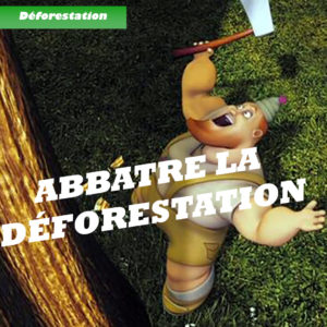 visuel-déforestation